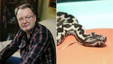 Profesor na PMF Suvad Lelo o najezdi zmija u BiH