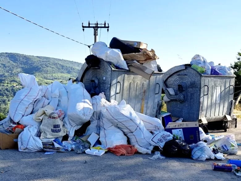 Građani Starog Ilijaša, naselje Vlaškovo, traže kante za smeće kako bi spriječili deponovanje smeća