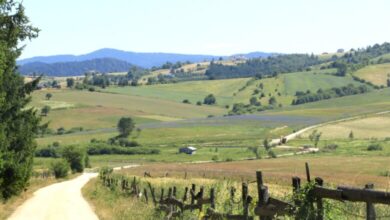 Sutra asfaltiranje puta Odžak -Nanići u Mjesnoj zajednici Kamenica