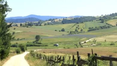 Sutra asfaltiranje puta Odžak -Nanići u Mjesnoj zajednici Kamenica