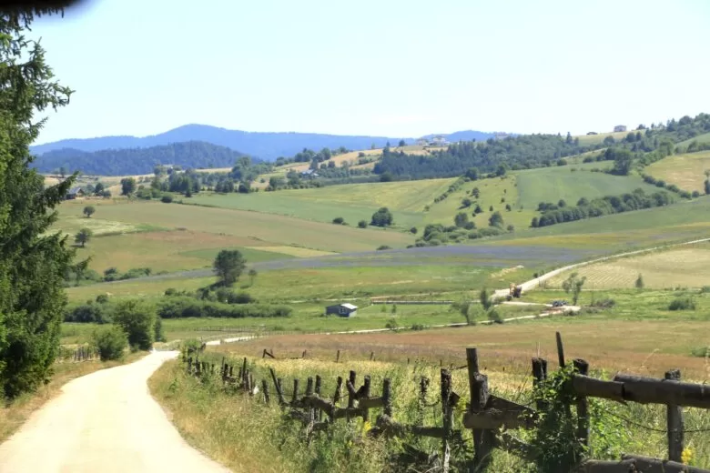 Sutra asfaltiranje puta Odžak -Nanići u Mjesnoj zajednici Kamenica