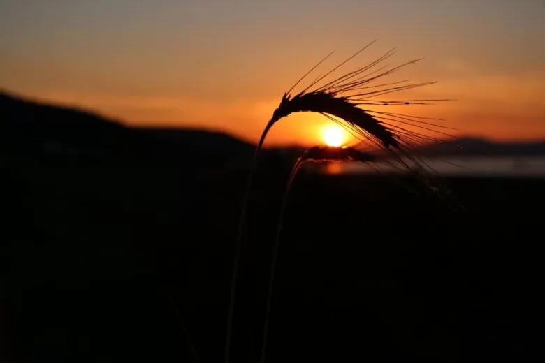 Crveni meteoalarm u BiH: danas vrhunac toplotnog vala