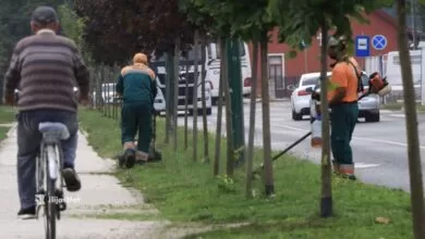 Na području Općine Ilijaš realizacija aktivnosti na uređenju zelenih površina