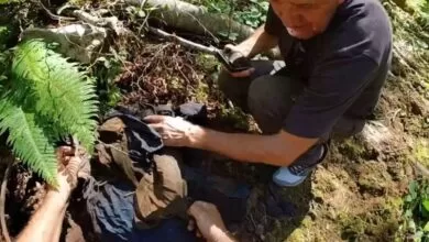 Dvojica Srebreničana došli iz Amerike, tumarali po šumi i naišli na grobnicu: Pronašli kompletan ljudski skelet