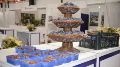 Počinje Sajam šljive u Gradačcu