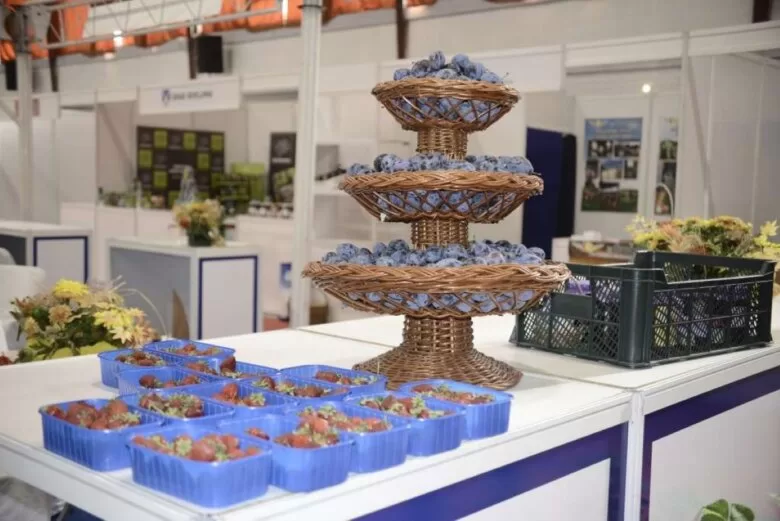 Počinje Sajam šljive u Gradačcu