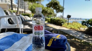 Ella voda slavila uz naše „Zmajeve“ na otvaranju Eurobasketa!