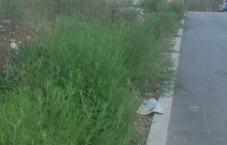 Ministarstvo traži hitne mjere radi suzbijanja širenja ambrozije