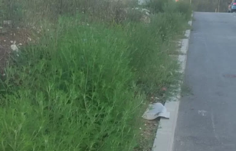 Ministarstvo traži hitne mjere radi suzbijanja širenja ambrozije