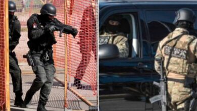 Velika akcija na području Federacije: U više kantona hapšenja članova grupe Panteri