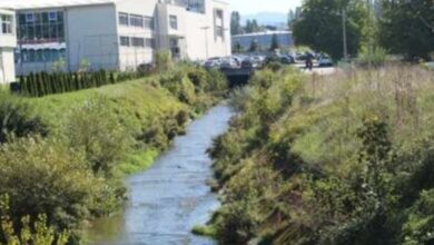 U Vogošći pogoršan kvalitet zraka: Širi se smrad stočnog izmeta