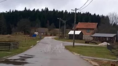 Otežan prolazak autobusa: Molba za prokres grana i šiblja na putu do Dragorada