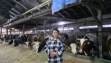 Snaga žene na selu: Liderke bosanskohercegovačke poljoprivrede