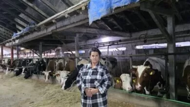 Snaga žene na selu: Liderke bosanskohercegovačke poljoprivrede