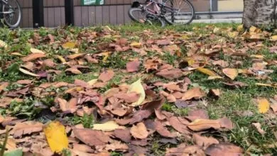 Danas pretežno oblačno i hladnije vrijeme sa kišom