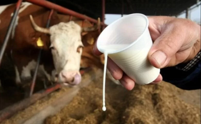 Proizvođači mlijeka u FBiH: Nema viška na tržištu, regulišite uvoz ili izlazimo na granice