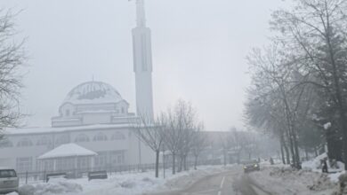 Danas do minus 16 stepeni