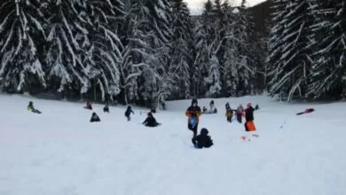 Druženje izviđača u Planinarskom domu Bočica