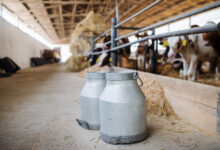 Poljoprivrednici u FBiH traže zabranu uvoza mlijeka