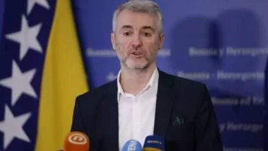 Forto: Bez jake agencije BiH će izgubiti kontrolu nad civilnim zrakoplovstvom