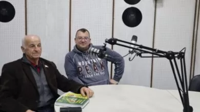 Đoko Zečević: Pčele u krizi, znanje, nauka i ljubav kao spas