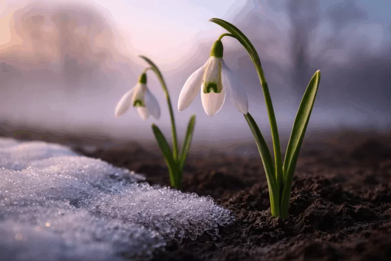 Džemre – prvi znak da zima popušta