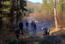 Bioča: Praznični dan iskorišten za akciju čišćenja i uređenja lokalnih puteva