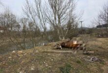 Brza reakcija Civilne zaštite: Uklonjen leš krave iz korita rijeke Bosne kod Ljubnića