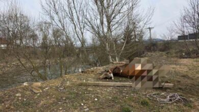 Brza reakcija Civilne zaštite: Uklonjen leš krave iz korita rijeke Bosne kod Ljubnića