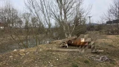 Brza reakcija Civilne zaštite: Uklonjen leš krave iz korita rijeke Bosne kod Ljubnića