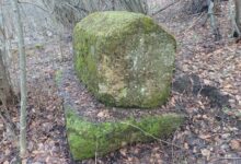 Fondacija Bassania pronašla neevidentiranu nekropolu stećaka u visočkom kraju