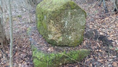 Fondacija Bassania pronašla neevidentiranu nekropolu stećaka u visočkom kraju