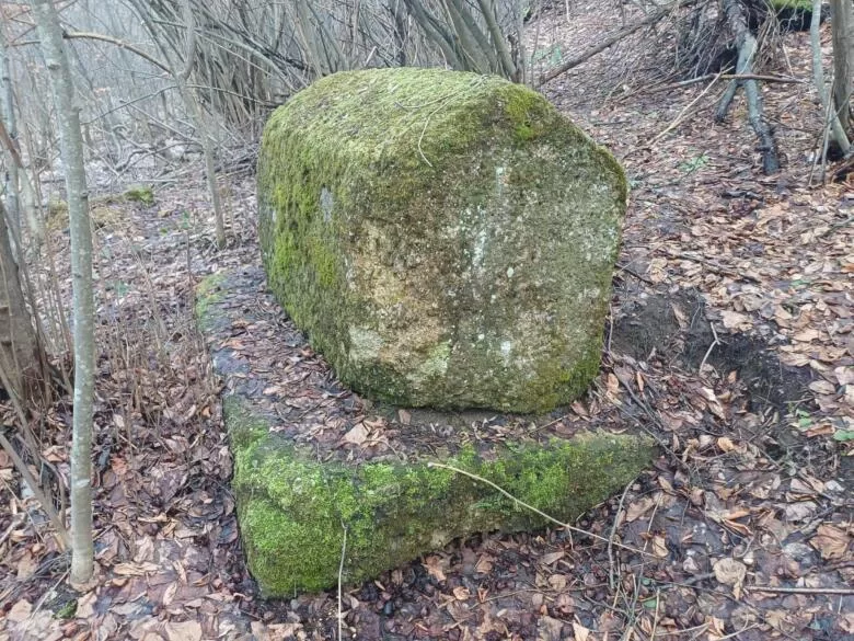 Fondacija Bassania pronašla neevidentiranu nekropolu stećaka u visočkom kraju