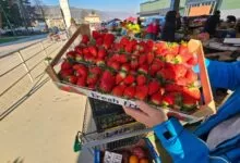 Bogata predbajramska ponuda na pijaci u Ilijašu