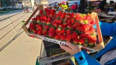 Bogata predbajramska ponuda na pijaci u Ilijašu