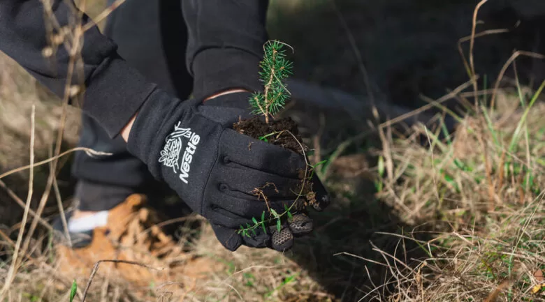 Svjetski dan šuma: 20.000 sadnica za 20 godina poslovanja kompanije Nestlé u BiH