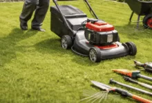Održavanje zelenih površina – profesionalne usluge dostupne na području više gradova