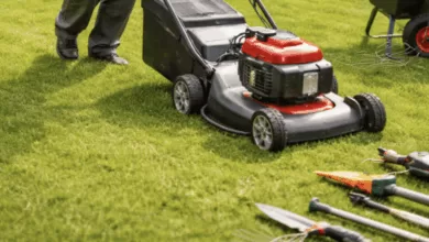 Održavanje zelenih površina – profesionalne usluge dostupne na području više gradova