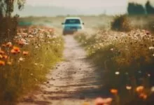 Zimska oprema od 1. 4. prestaje biti obavezna