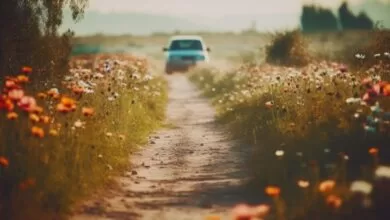 Zimska oprema od 1. 4. prestaje biti obavezna