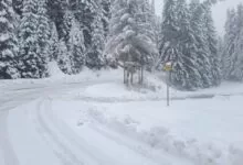 Zimske službe na terenu: Uskoro prohodni svi putevi, radi se i na normalizaciji napajanja električnom energijom