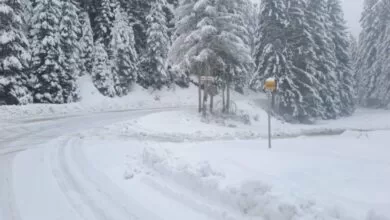 Zimske službe na terenu: Uskoro prohodni svi putevi, radi se i na normalizaciji napajanja električnom energijom