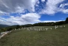 Bioča: U nedjelju organizovana akcija čišćenja mjesnog mezarja