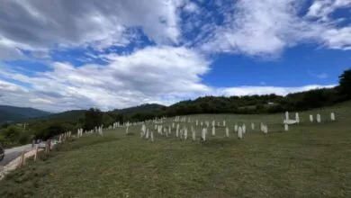 Bioča: U nedjelju organizovana akcija čišćenja mjesnog mezarja