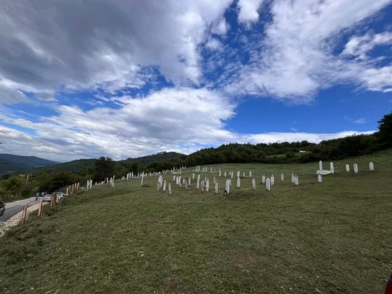 Bioča: U nedjelju organizovana akcija čišćenja mjesnog mezarja