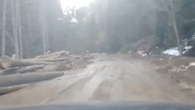 Apel nadležnima: Put prema Žepi gotovo neprohodan zbog šumarskih radova