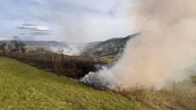 Požar niskog rastinja u Brezi lokalizovan nakon gotovo tri sata borbe