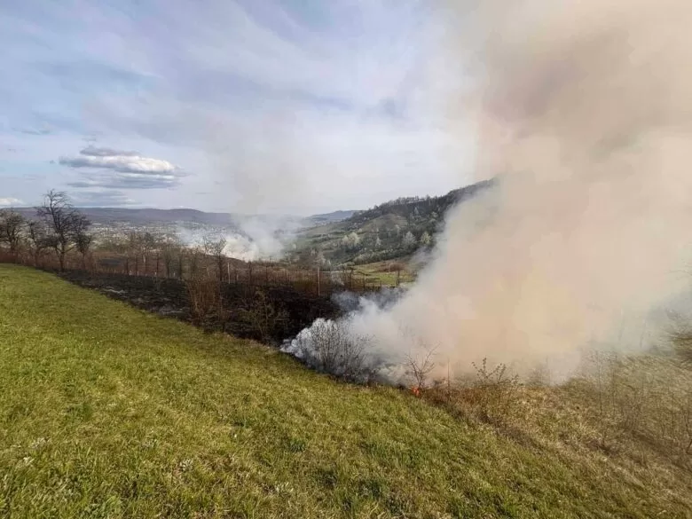 Požar niskog rastinja u Brezi lokalizovan nakon gotovo tri sata borbe