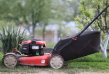 Stiglo proljeće: Vrijeme kada vrtovi ponovo ožive