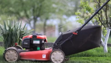 Stiglo proljeće: Vrijeme kada vrtovi ponovo ožive